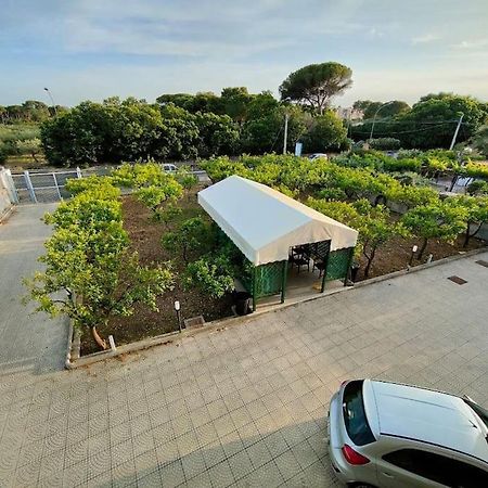 Appartamento Roccaforte Bi Rosso Trapani Exteriör bild
